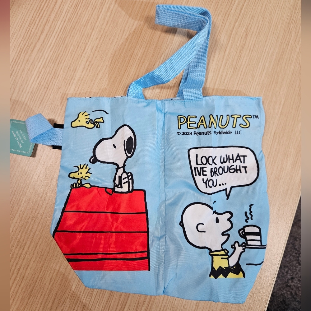 Snoopy & Charlie Brown reversible  bag for 1 or 2 water bottles - NWT